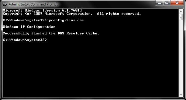 Flush the DNS Cache